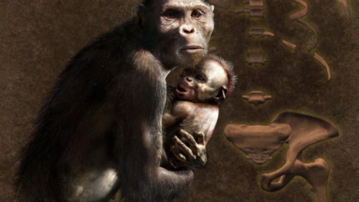 Promotional artwork for Lucy’s Cradle