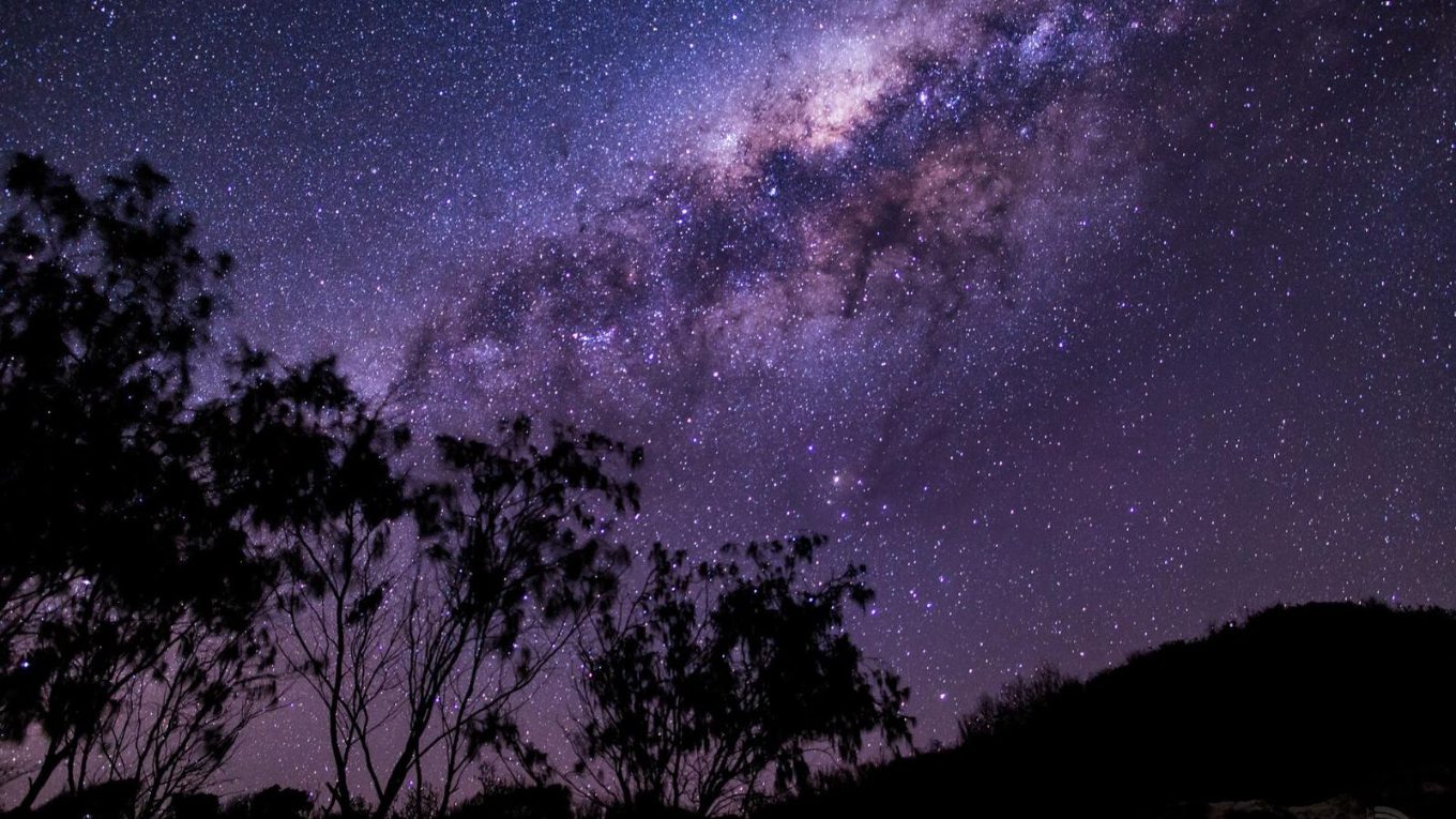 The Milky Way over a dark treeline — the night sky as seen with the naked eye.