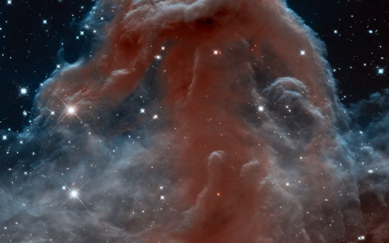 The Horsehead Nebula in infrared light.
