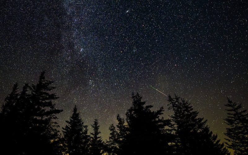 Meteors and the Milky Way over a dark treeline during a meteor shower.